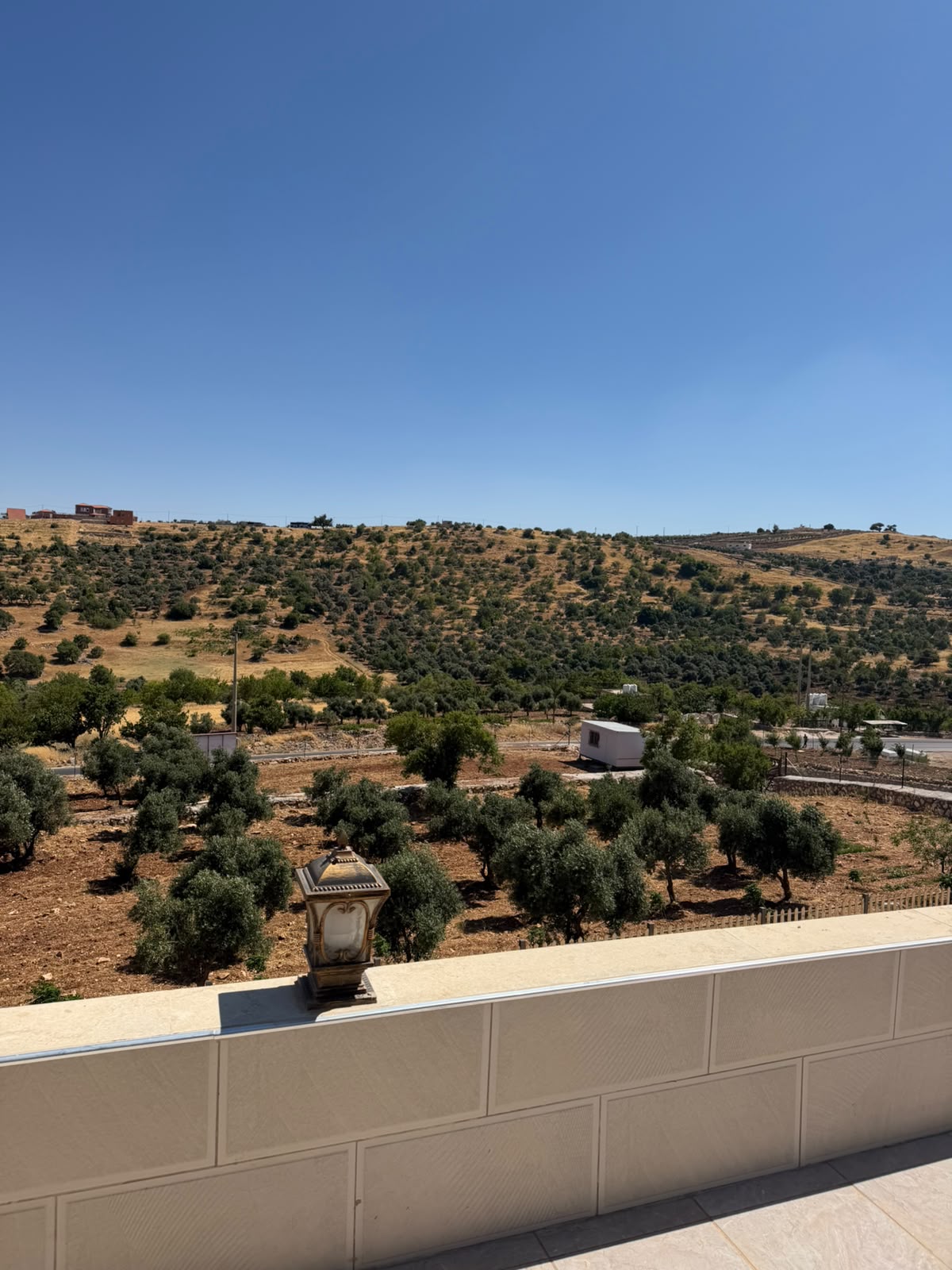 Luxury Farm in Ajloun Samta gallery 13